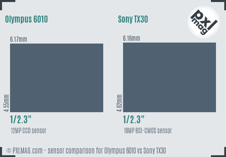 Olympus 6010 vs Sony TX30 sensor size comparison Olympus 6010 vs Sony TX30 sensor size comparison
