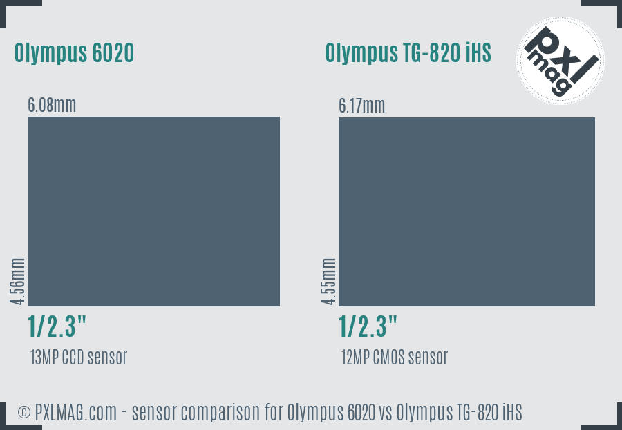 Olympus 6020 vs Olympus TG-820 iHS sensor size comparison
