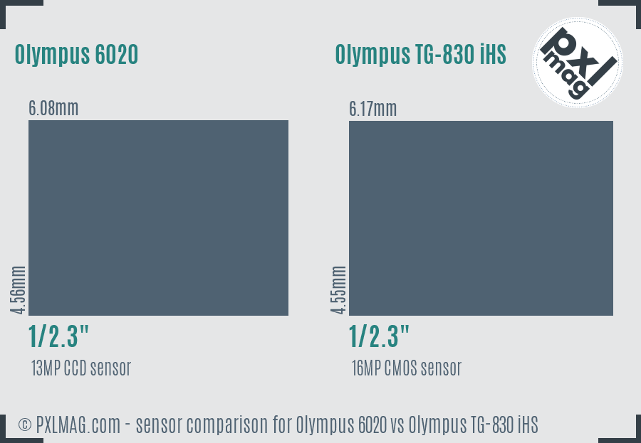 Olympus 6020 vs Olympus TG-830 iHS sensor size comparison