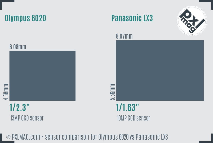 Olympus 6020 vs Panasonic LX3 sensor size comparison