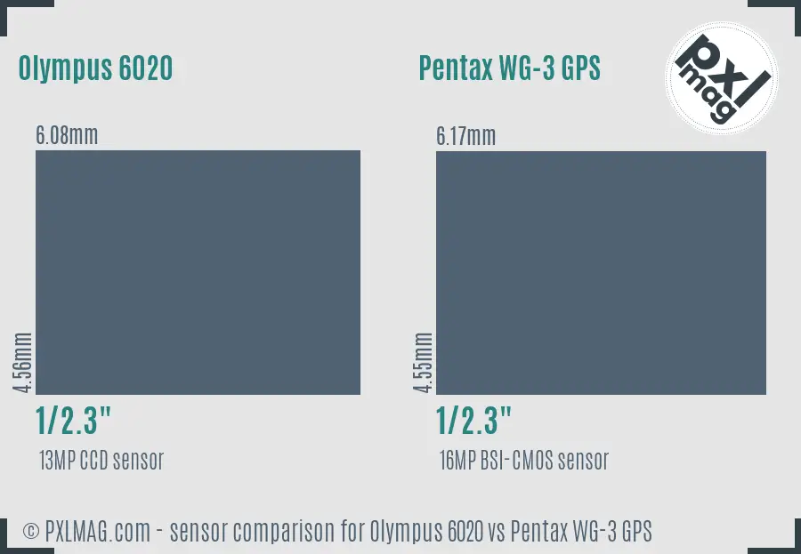 Olympus 6020 vs Pentax WG-3 GPS sensor size comparison Olympus 6020 vs Pentax WG-3 GPS sensor size comparison