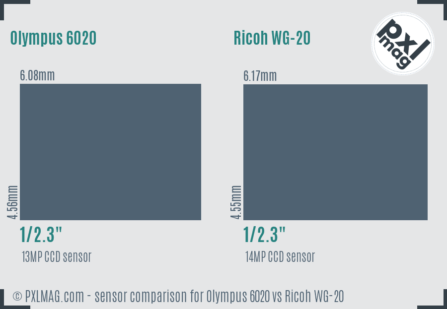 Olympus 6020 vs Ricoh WG-20 sensor size comparison