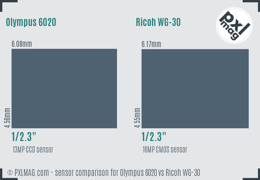 Olympus 6020 vs Ricoh WG-30 sensor size comparison