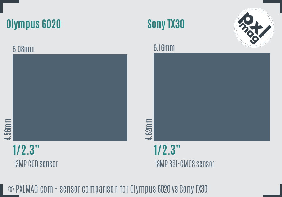 Olympus 6020 vs Sony TX30 sensor size comparison