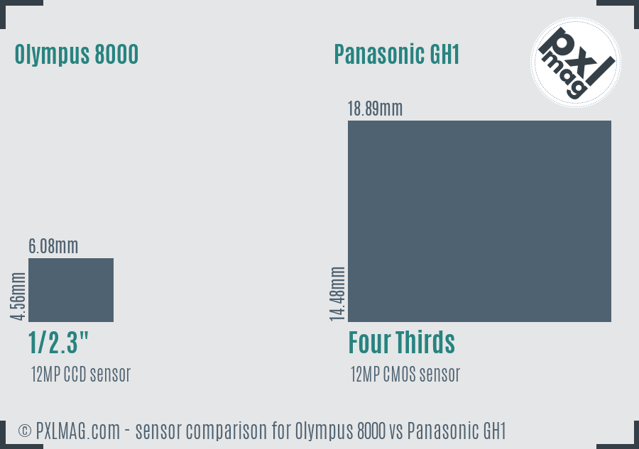 Olympus 8000 vs Panasonic GH1 sensor size comparison Olympus 8000 vs Panasonic GH1 sensor size comparison