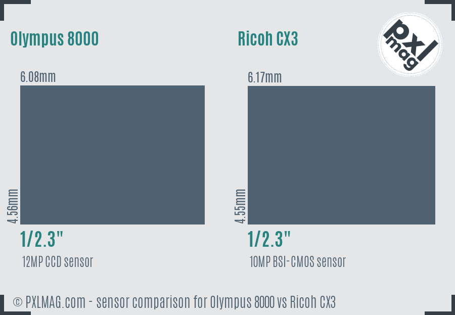 Olympus 8000 vs Ricoh CX3 sensor size comparison