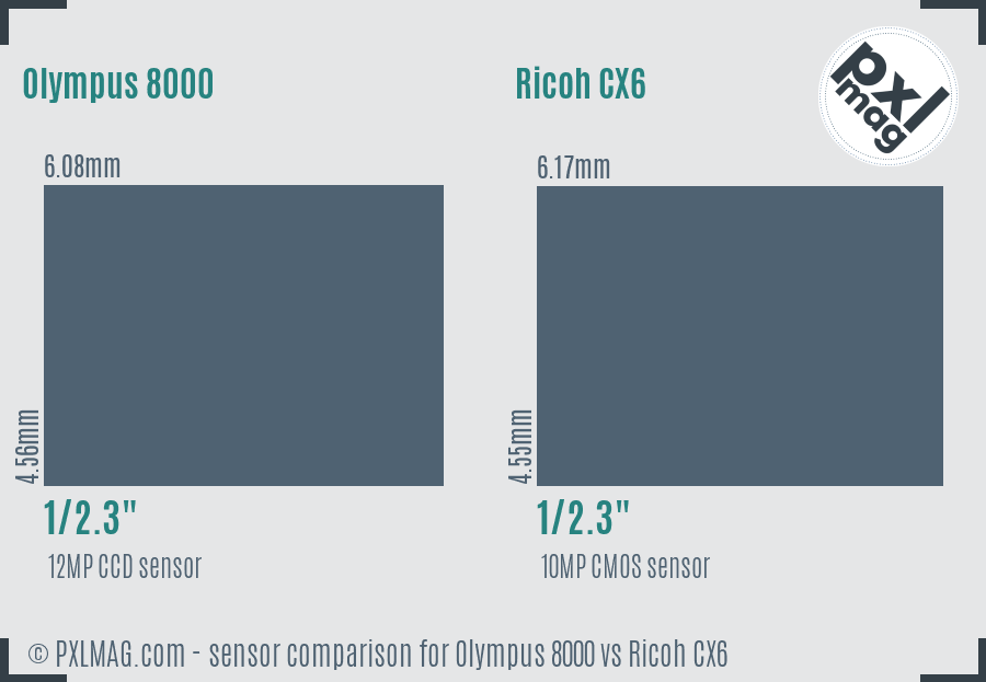 Olympus 8000 vs Ricoh CX6 sensor size comparison