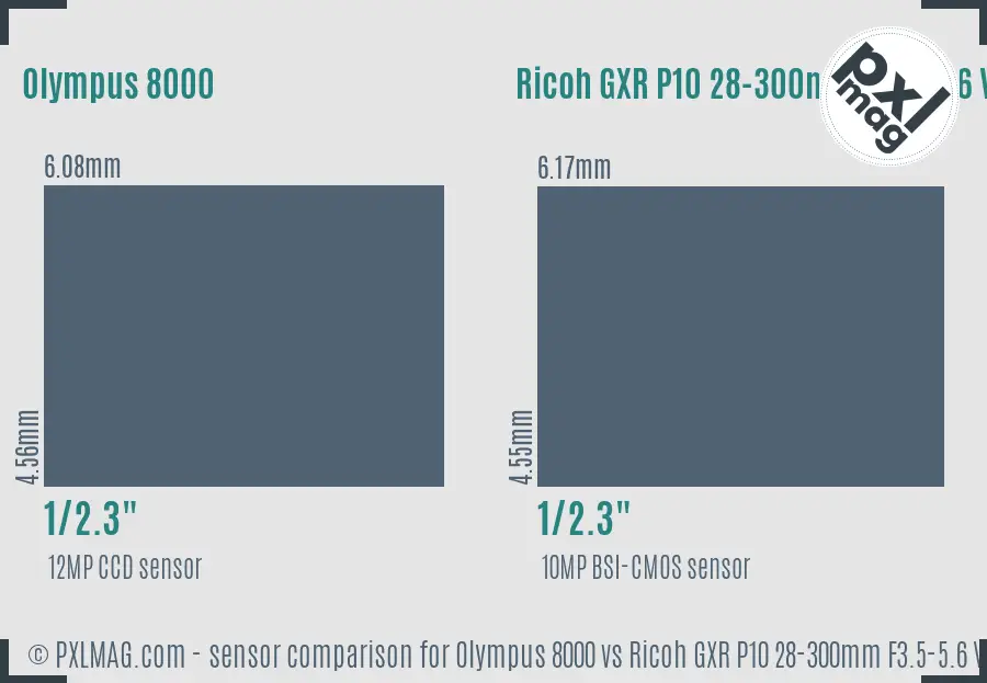 Olympus 8000 vs Ricoh GXR P10 28-300mm F3.5-5.6 VC sensor size comparison