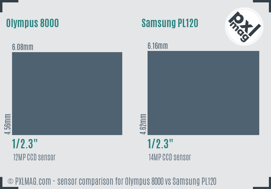 Olympus 8000 vs Samsung PL120 sensor size comparison