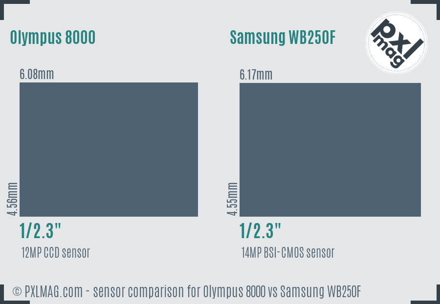 Olympus 8000 vs Samsung WB250F sensor size comparison