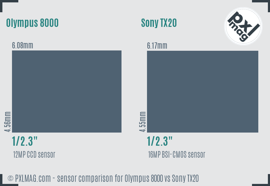 Olympus 8000 vs Sony TX20 sensor size comparison