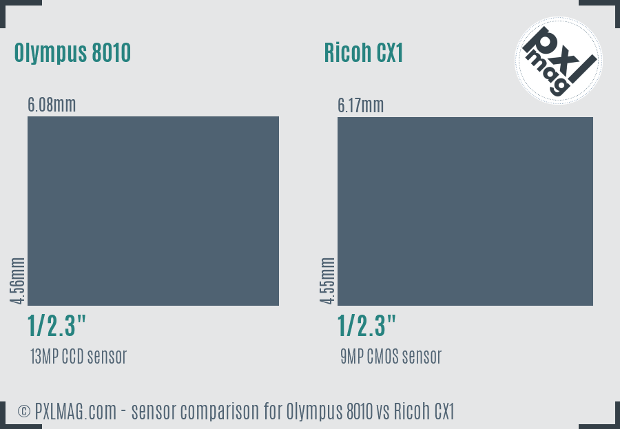 Olympus 8010 vs Ricoh CX1 sensor size comparison