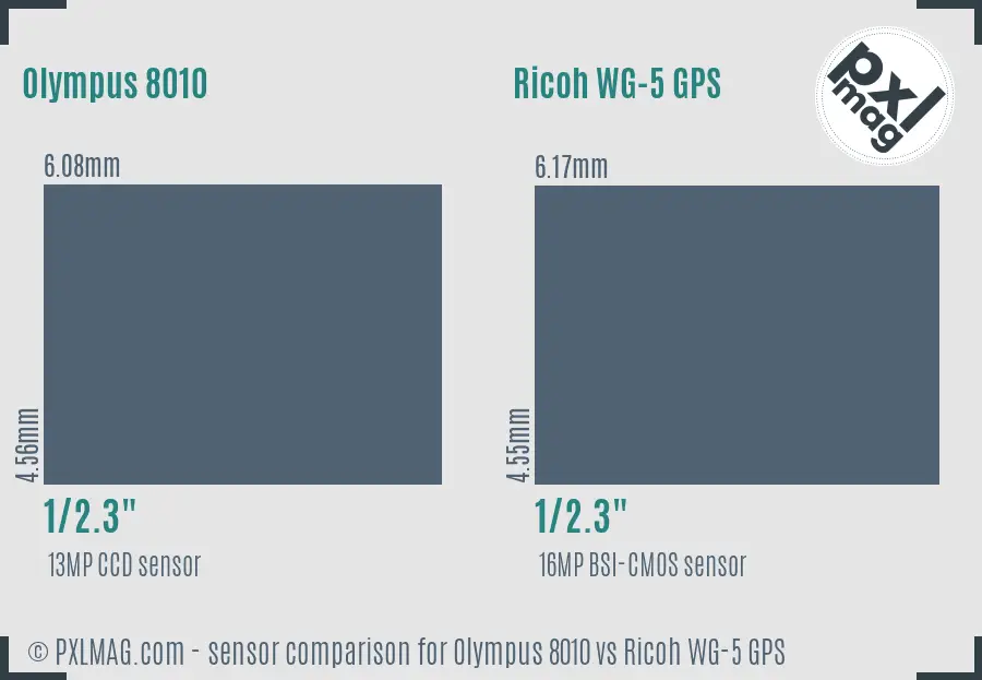 Olympus 8010 vs Ricoh WG-5 GPS sensor size comparison