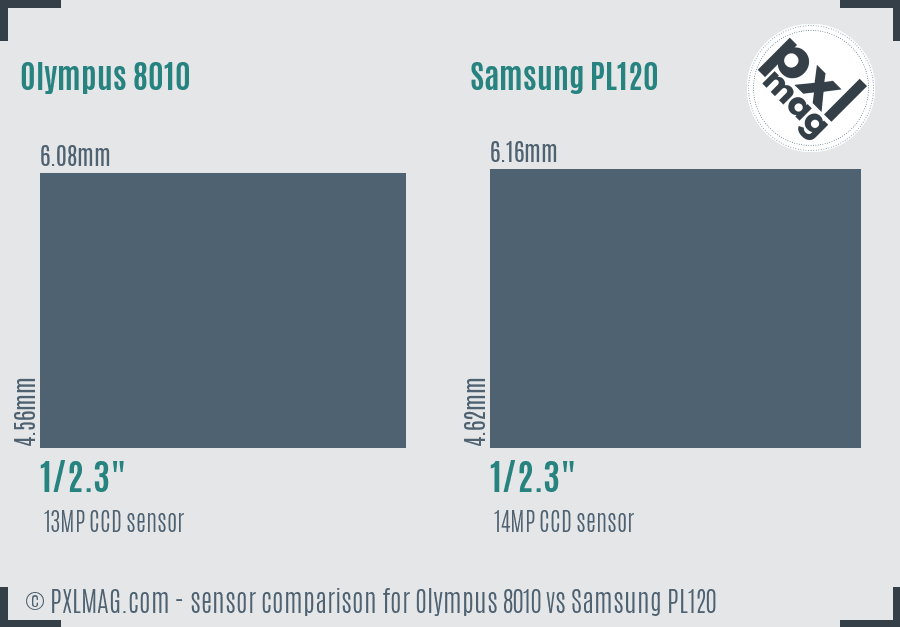 Olympus 8010 vs Samsung PL120 sensor size comparison