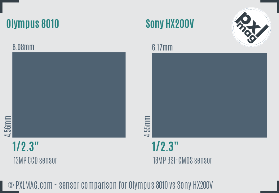 Olympus 8010 vs Sony HX200V sensor size comparison