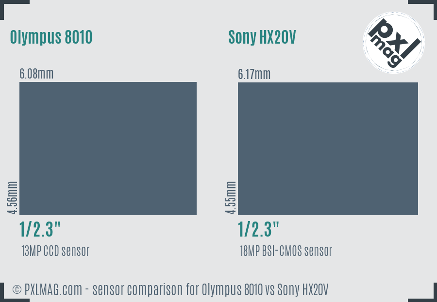 Olympus 8010 vs Sony HX20V sensor size comparison