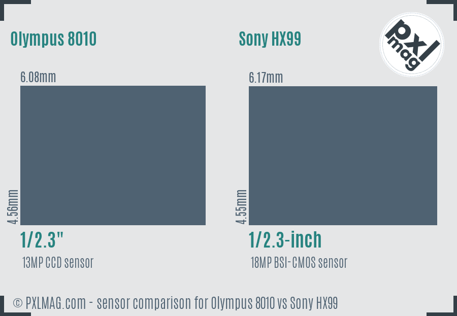 Olympus 8010 vs Sony HX99 sensor size comparison