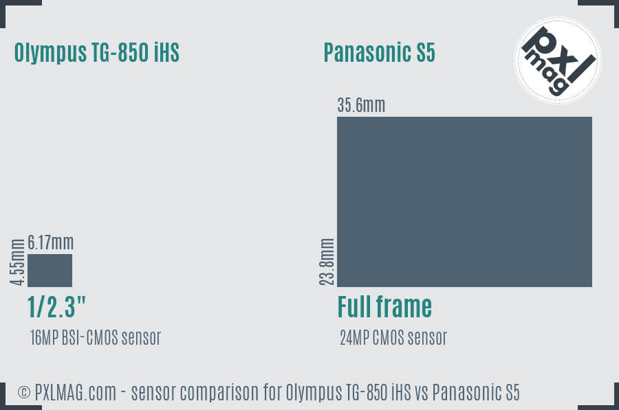 Olympus TG-850 iHS vs Panasonic S5 sensor size comparison