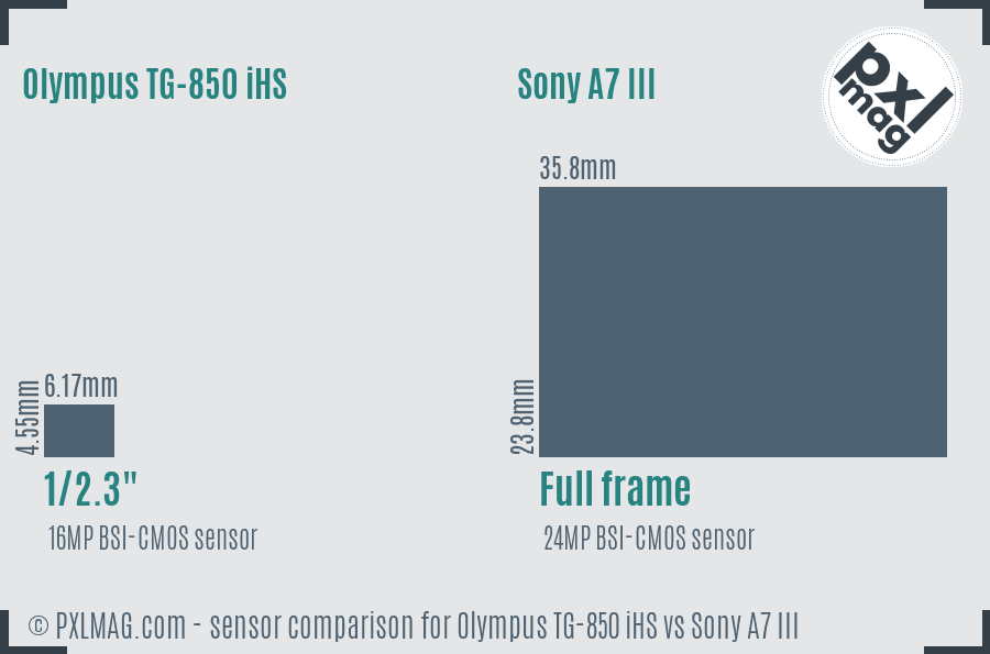 Olympus TG-850 iHS vs Sony A7 III sensor size comparison