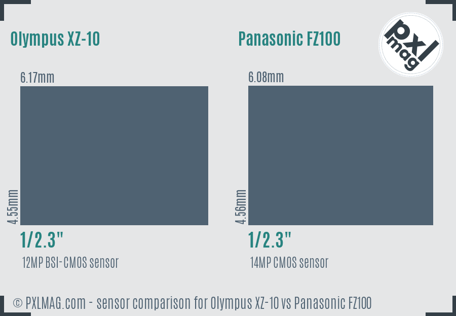 Olympus XZ-10 vs Panasonic FZ100 sensor size comparison