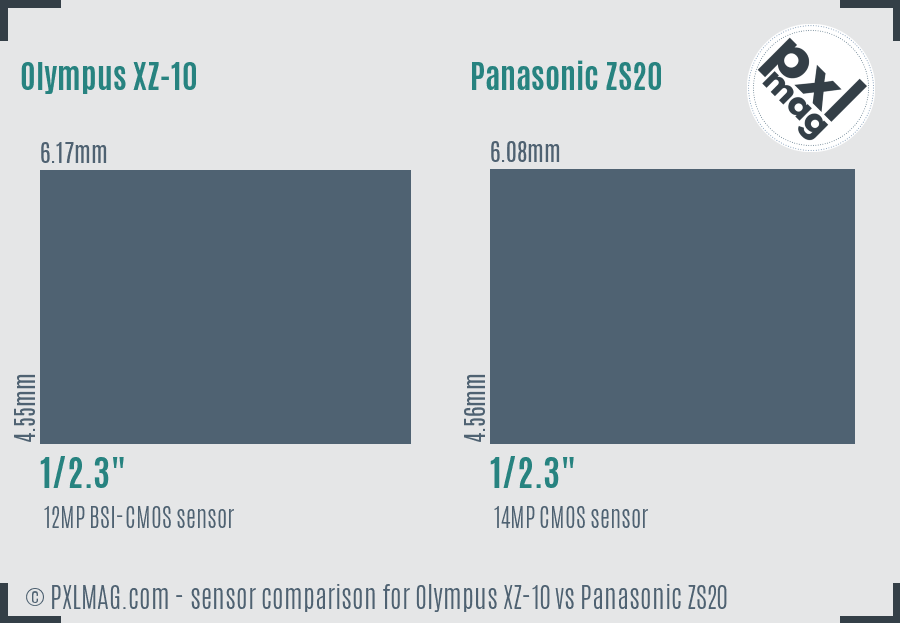 Olympus XZ-10 vs Panasonic ZS20 sensor size comparison
