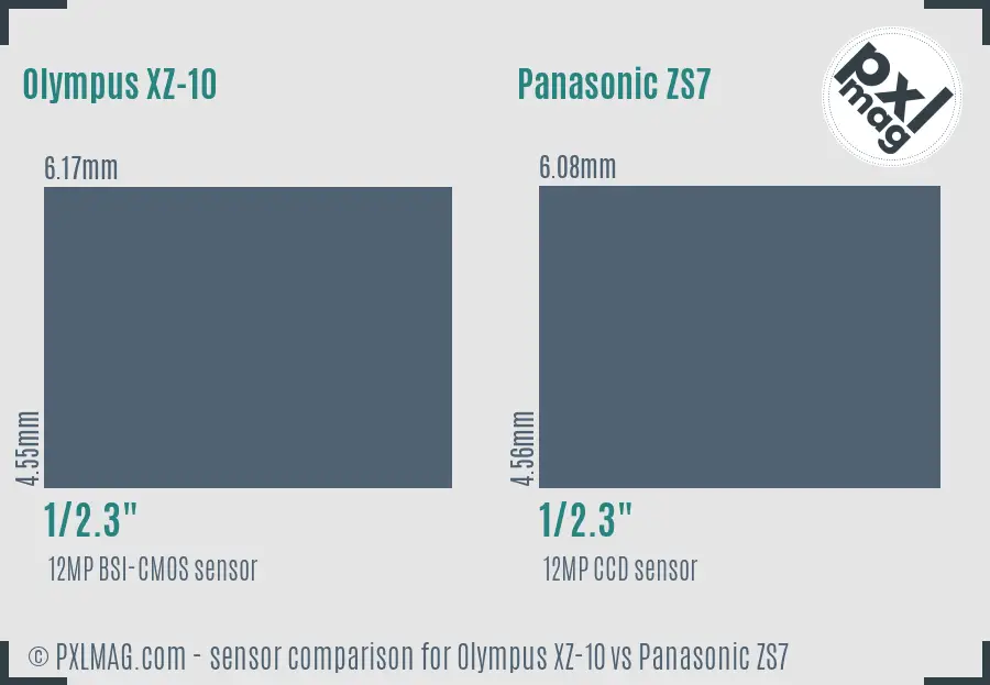 Olympus XZ-10 vs Panasonic ZS7 sensor size comparison
