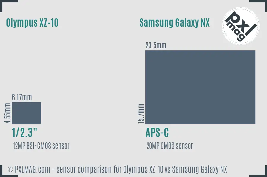 Olympus XZ-10 vs Samsung Galaxy NX sensor size comparison