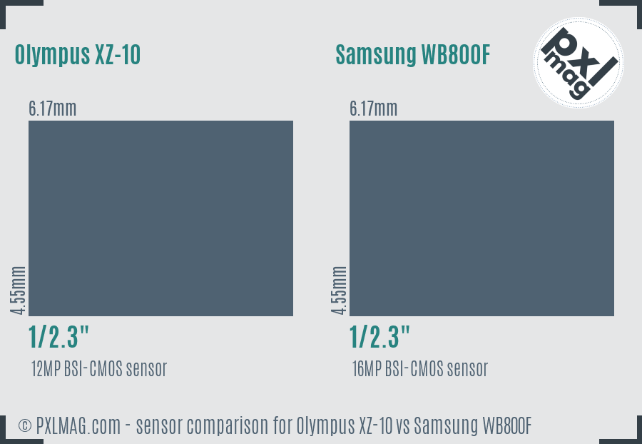 Olympus XZ-10 vs Samsung WB800F sensor size comparison