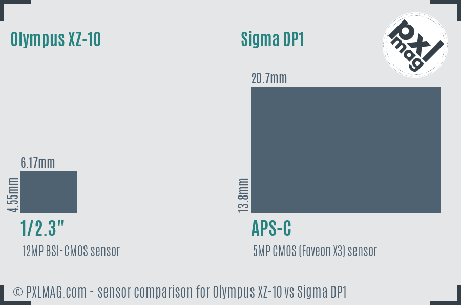 Olympus XZ-10 vs Sigma DP1 sensor size comparison