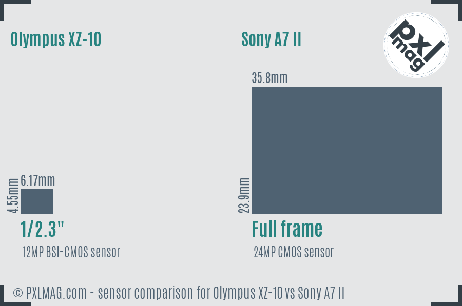 Olympus XZ-10 vs Sony A7 II sensor size comparison