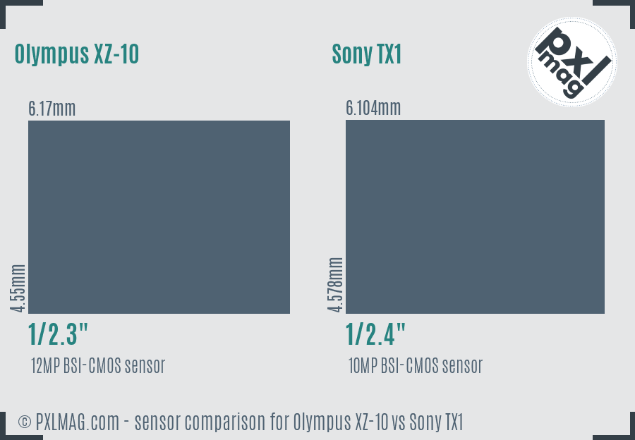 Olympus XZ-10 vs Sony TX1 sensor size comparison