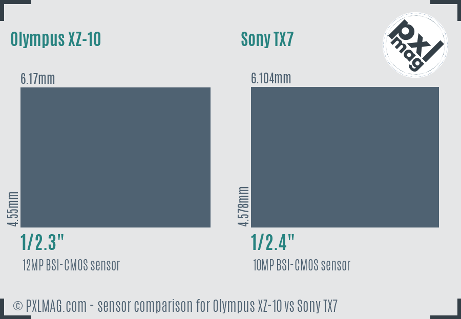 Olympus XZ-10 vs Sony TX7 sensor size comparison