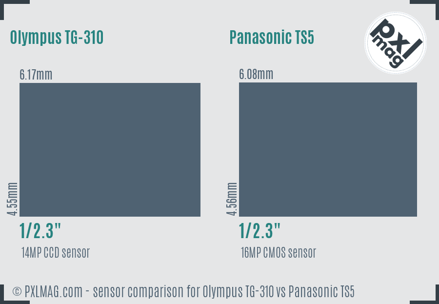 Olympus TG-310 vs Panasonic TS5 sensor size comparison