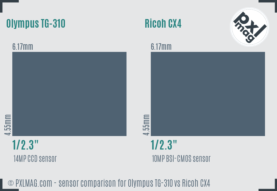 Olympus TG-310 vs Ricoh CX4 sensor size comparison