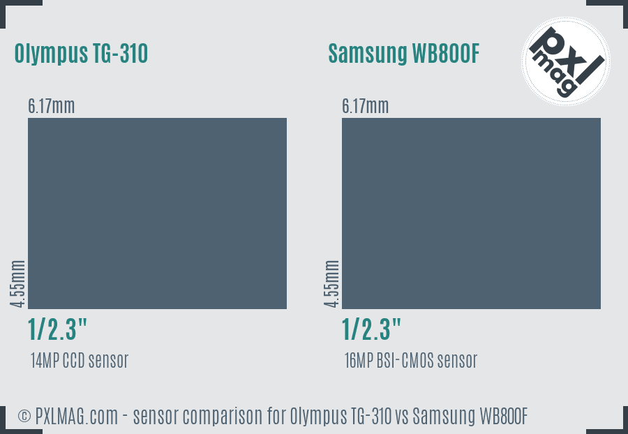 Olympus TG-310 vs Samsung WB800F sensor size comparison