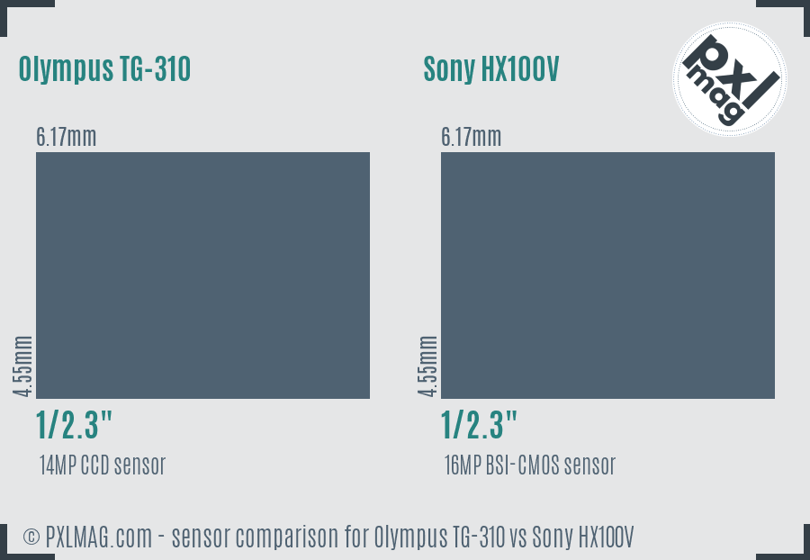 Olympus TG-310 vs Sony HX100V sensor size comparison