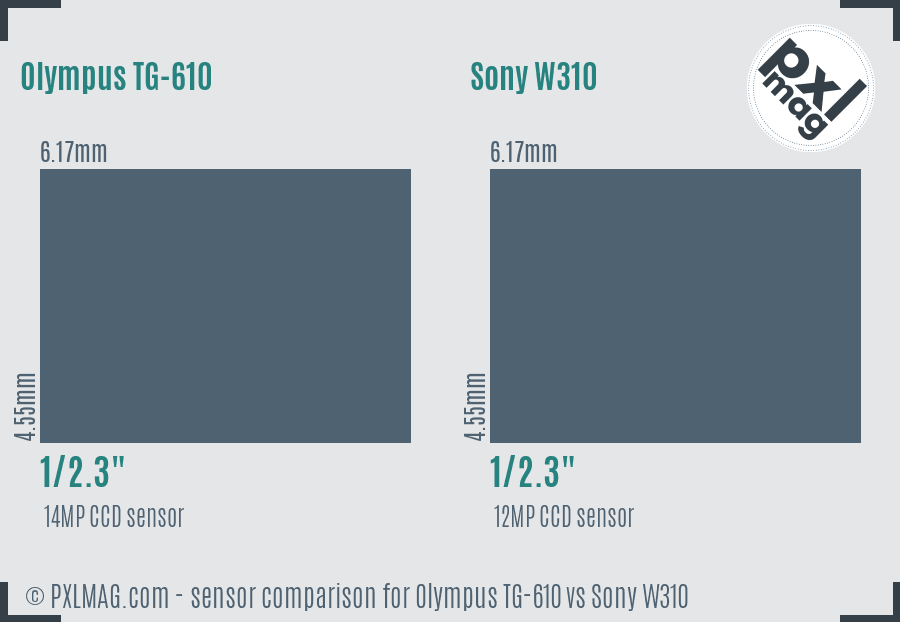 Olympus TG-610 vs Sony W310 sensor size comparison