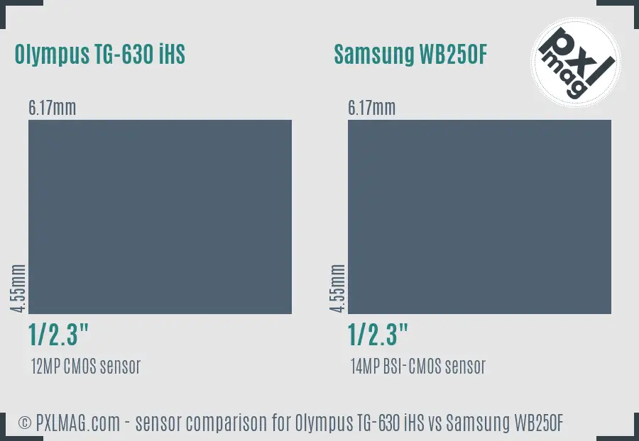 Olympus TG-630 iHS vs Samsung WB250F sensor size comparison