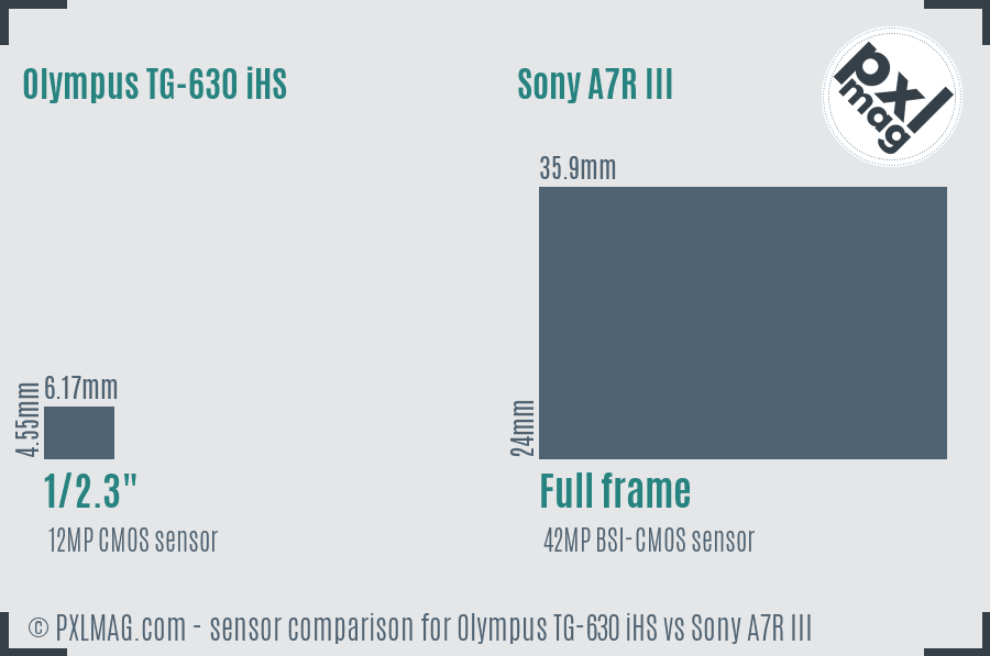 Olympus TG-630 iHS vs Sony A7R III sensor size comparison