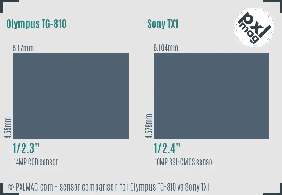 Olympus TG-810 vs Sony TX1 sensor size comparison