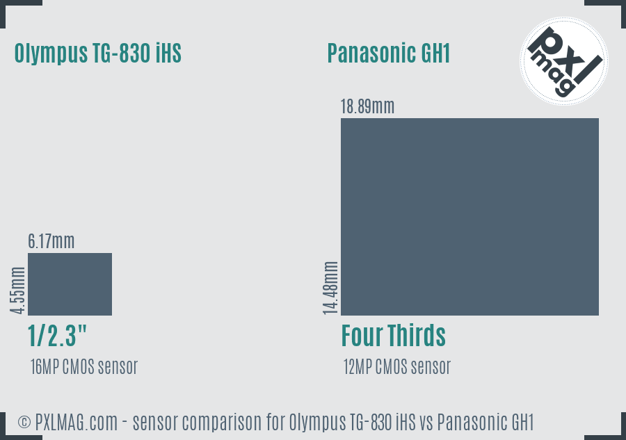 Olympus TG-830 iHS vs Panasonic GH1 sensor size comparison