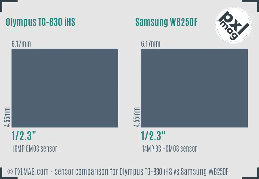 Olympus TG-830 iHS vs Samsung WB250F sensor size comparison