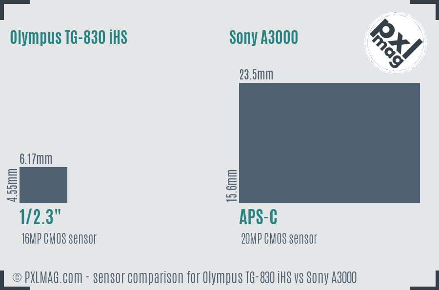 Olympus TG-830 iHS vs Sony A3000 sensor size comparison