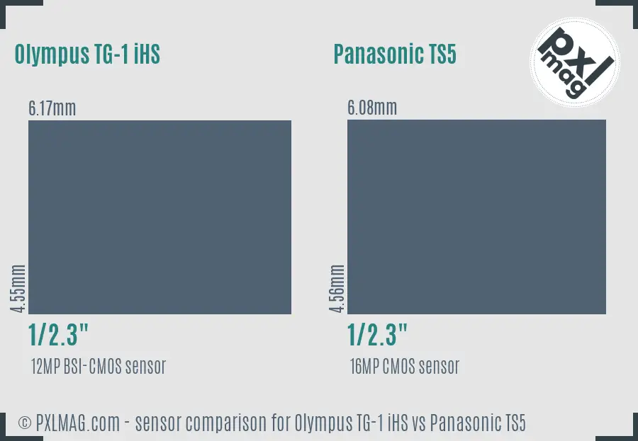 Olympus TG-1 iHS vs Panasonic TS5 sensor size comparison
