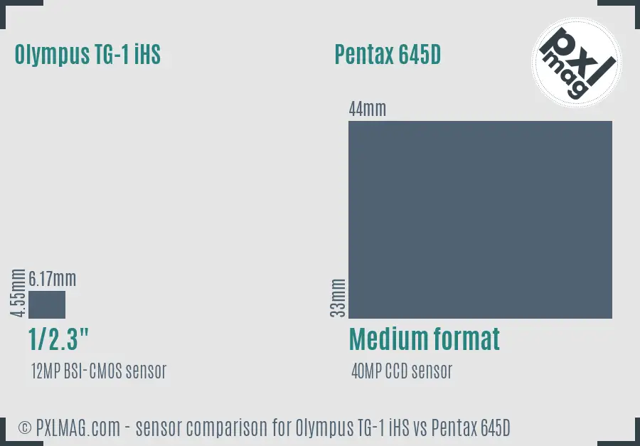 Olympus TG-1 iHS vs Pentax 645D sensor size comparison