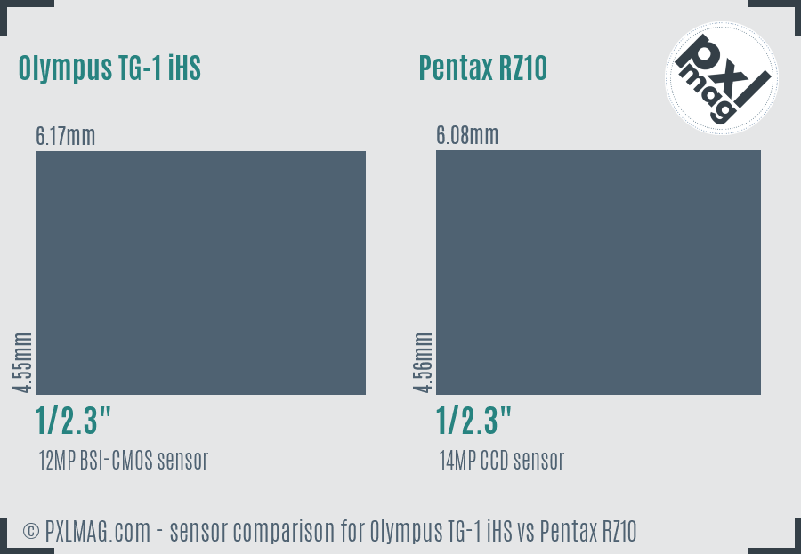 Olympus TG-1 iHS vs Pentax RZ10 sensor size comparison