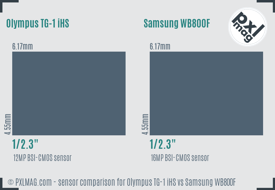 Olympus TG-1 iHS vs Samsung WB800F sensor size comparison Olympus TG-1 iHS vs Samsung WB800F sensor size comparison