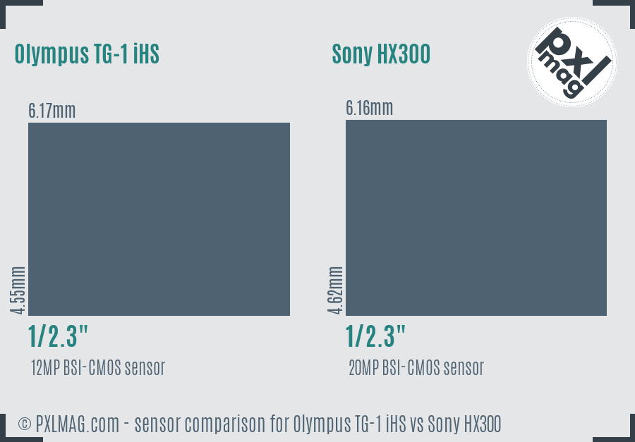 Olympus TG-1 iHS vs Sony HX300 sensor size comparison