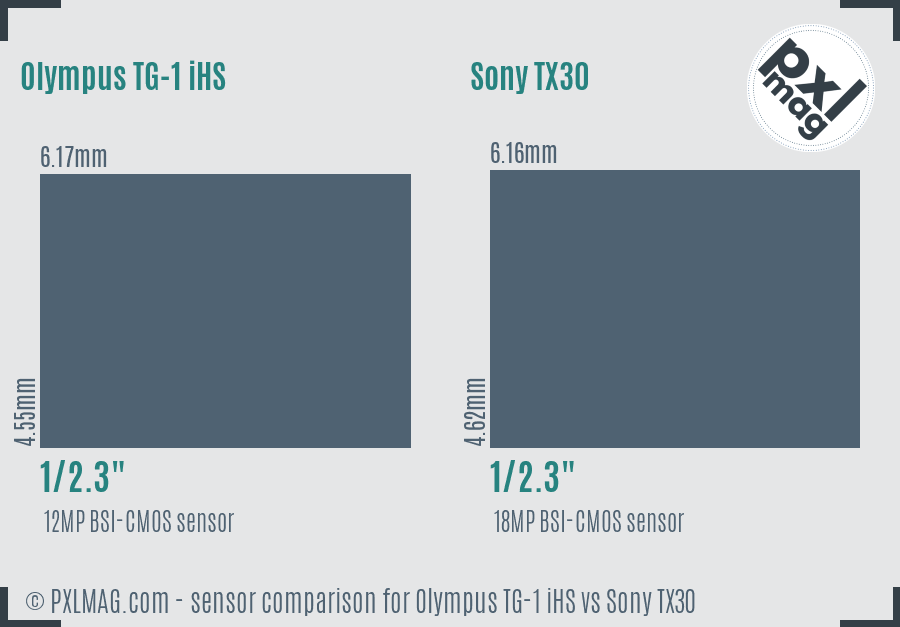 Olympus TG-1 iHS vs Sony TX30 sensor size comparison