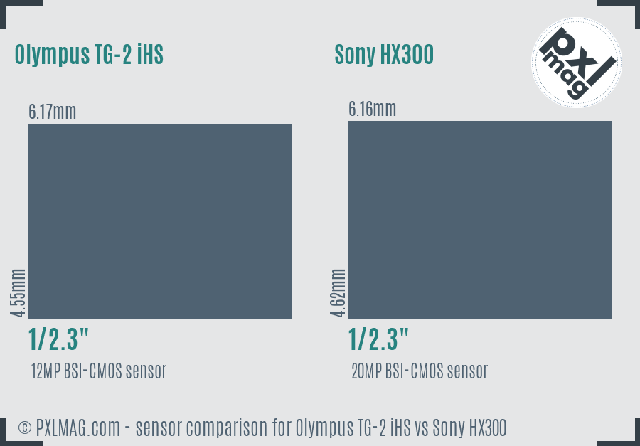 Olympus TG-2 iHS vs Sony HX300 sensor size comparison